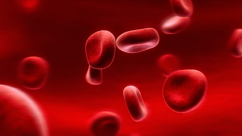 18 chỉ số xét nghiệm máu bạn cần biết khi đọc kết quả - Xét nghiệm Dr.Labo