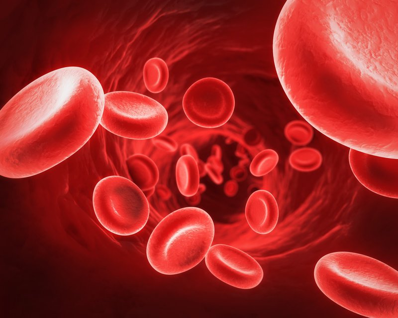 Người bệnh cần làm xét nghiệm đánh giá quá trình đông máu của cơ thể để chẩn đoán tình trạng thiếu hụt yếu tố V
