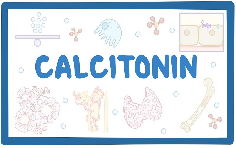 calcitonin là gì