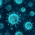 Mức độ nguy hiểm của Virus Cúm A/H1N1